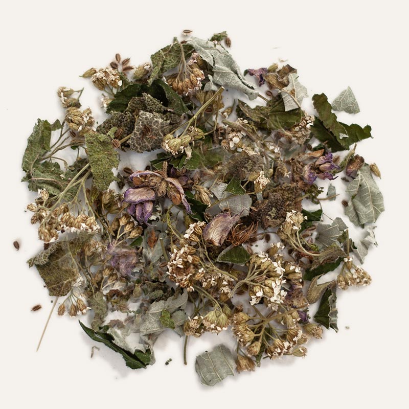 Tee lose- Moon and Sage