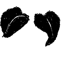 Illustration Muskatellersalbeiblatt