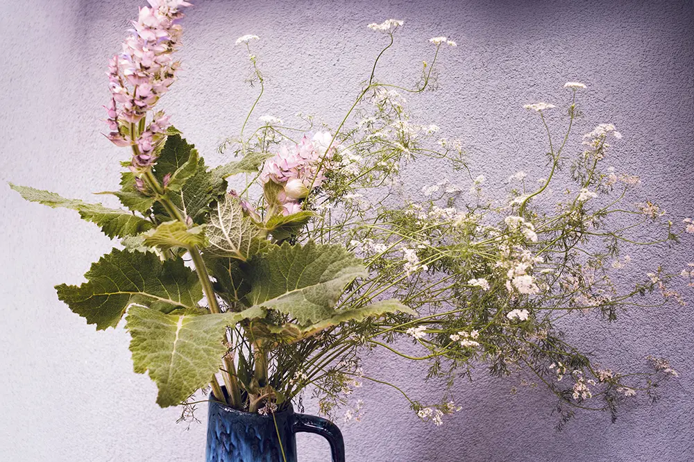Vase mit Muskatellersalbei